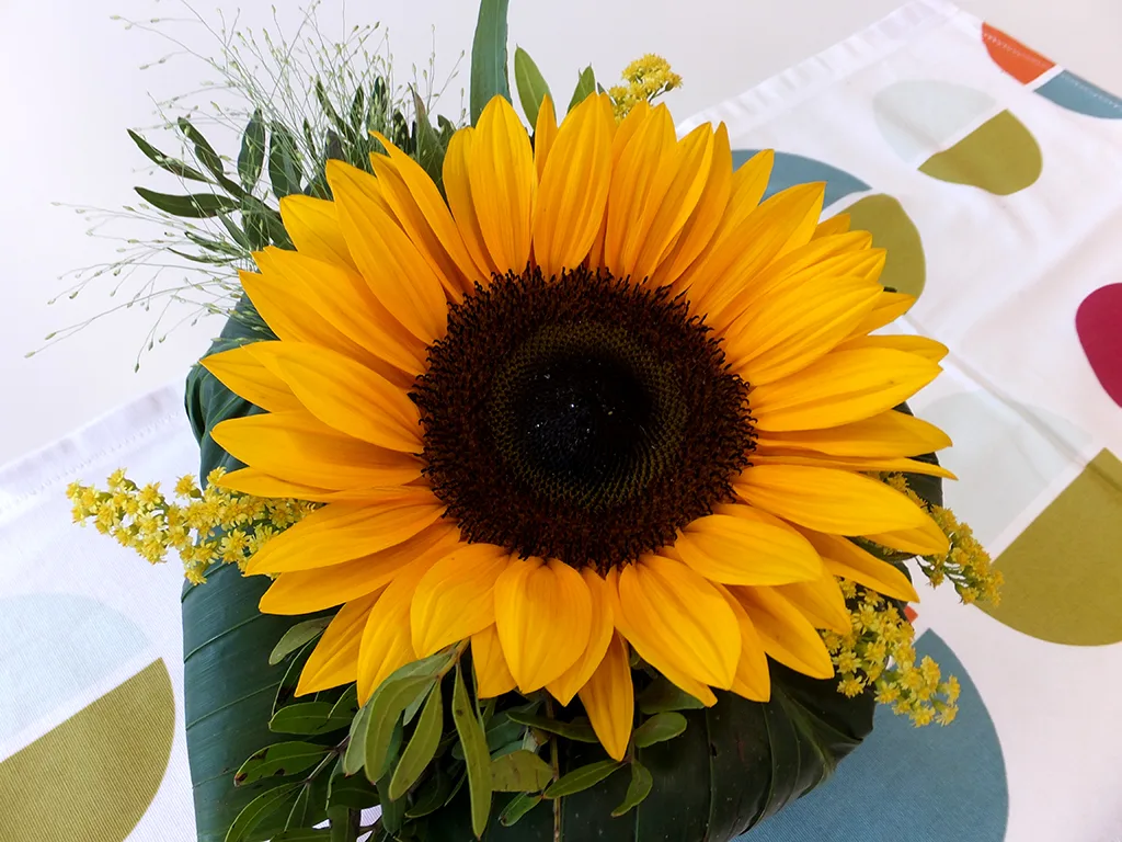 Sonnenblume in einer Vase auf bunter Tischdecke.